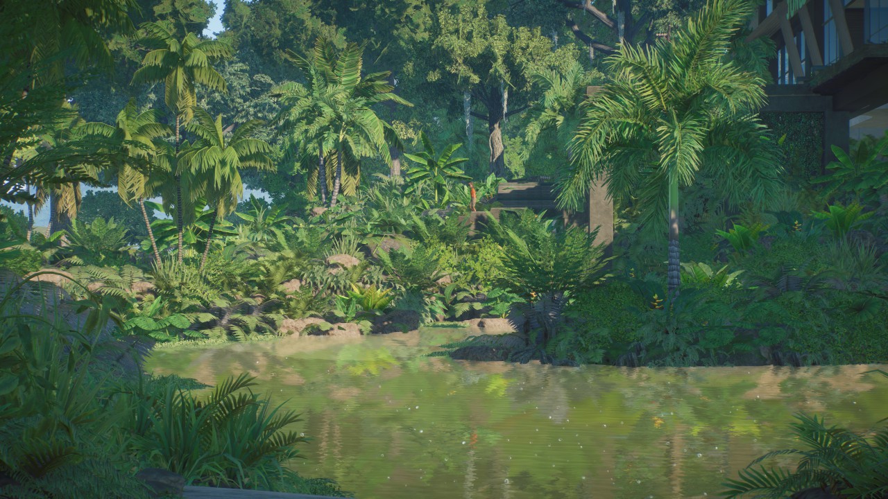 Rainforest Park
