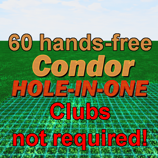 60 hands-free condor hole-in-one