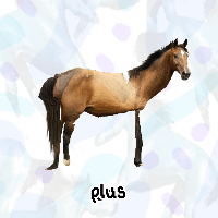 Horses+ preview