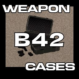 [B42.20 Stable] Weapon Cases [SP]