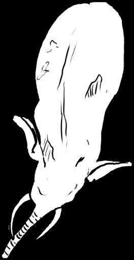 Elephant B