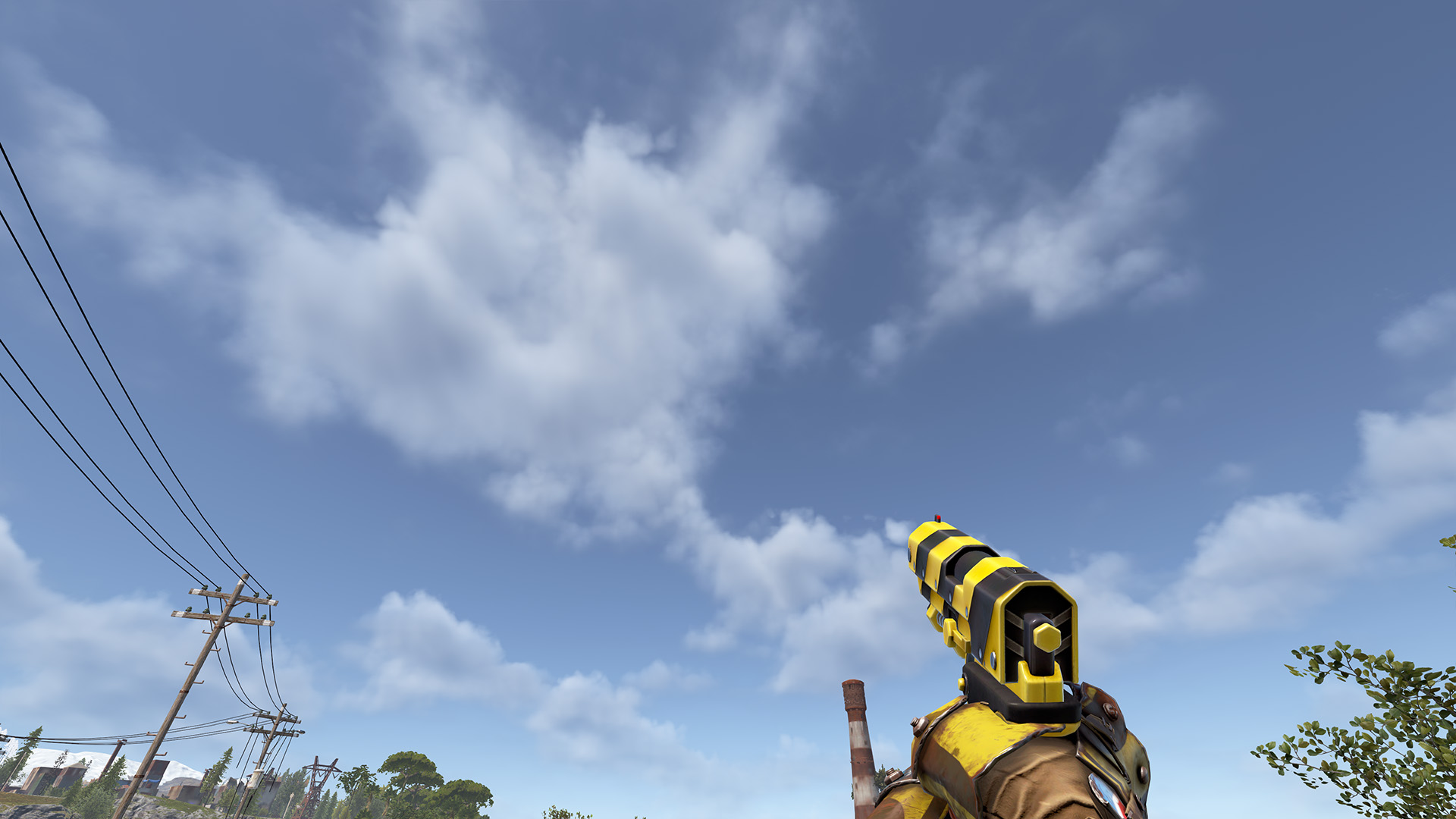 Bee SAP thumbnail 3
