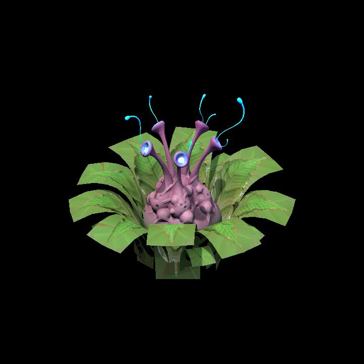 Fey_Plant (11)