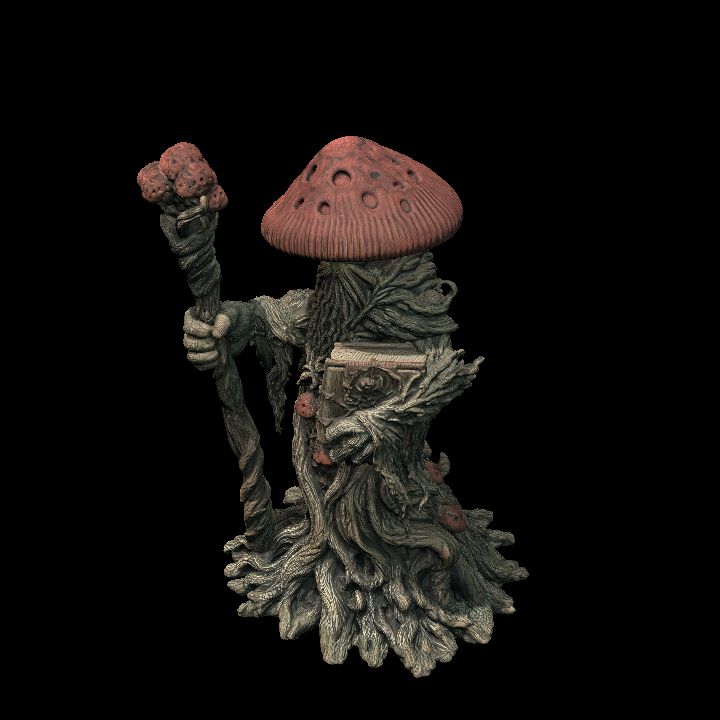 MYCONID WIZARD