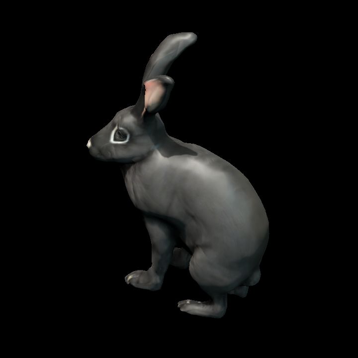 B Hare