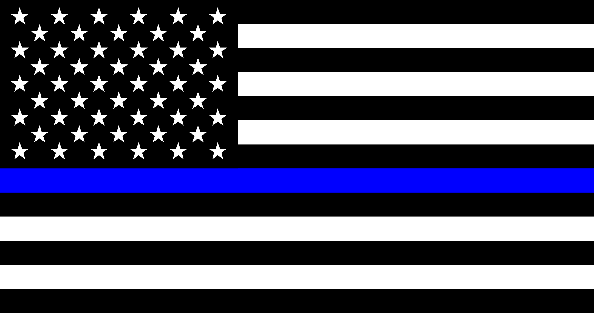 Thin Blue Line Flag preview