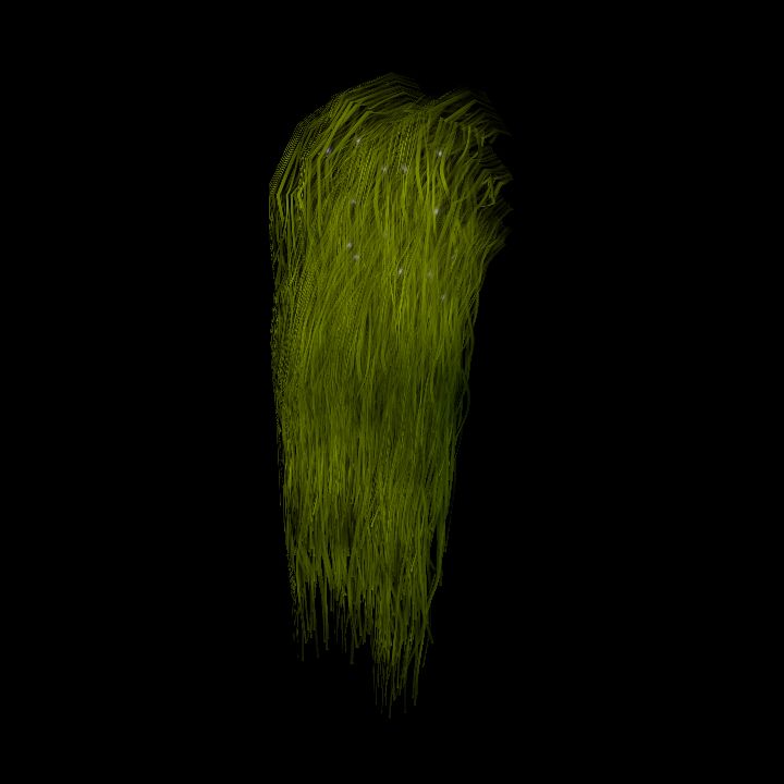 SwampTussocksSmallW_2