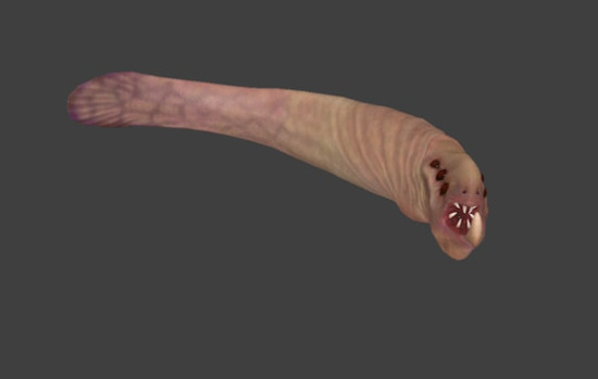 HL2 RTX Corpses and leeches Replacement [BODY HORROR TRIGGER WARNING]