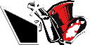 Persona 5