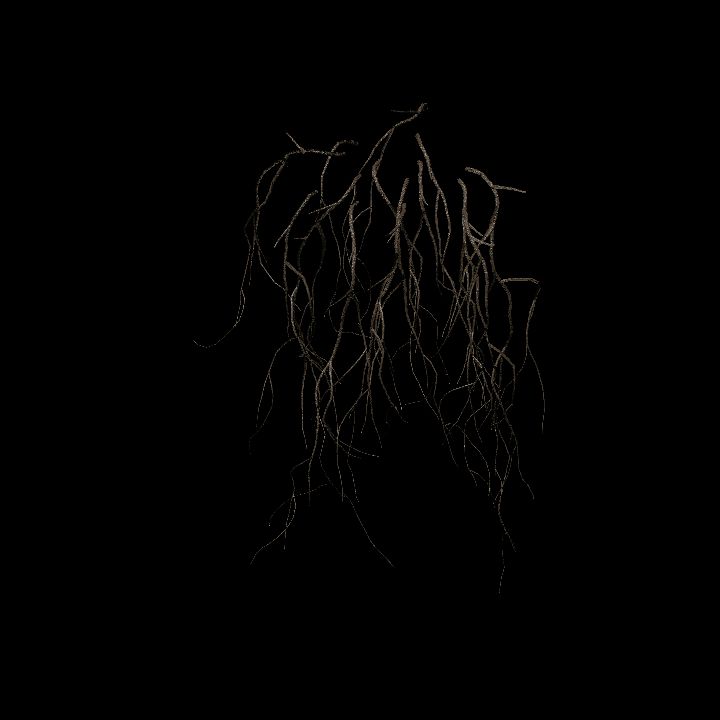 Nature, Plant, Vine, Wall 3