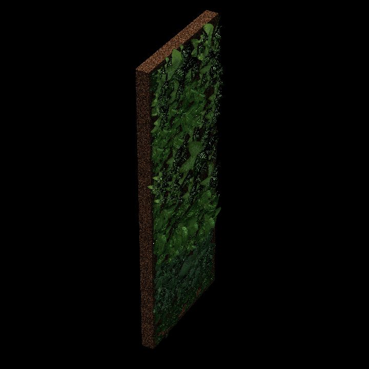 PlantWallC
