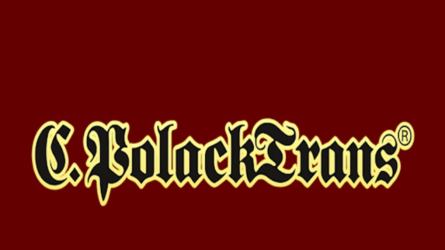 Lichtkasten-Holland-Style-Scania-2-PolackTrans