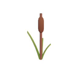 Cat Tail
