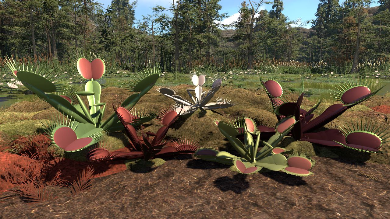 MPP Venus Flytrap (Dionaea muscipula)