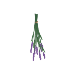 Dried Lavender on wall