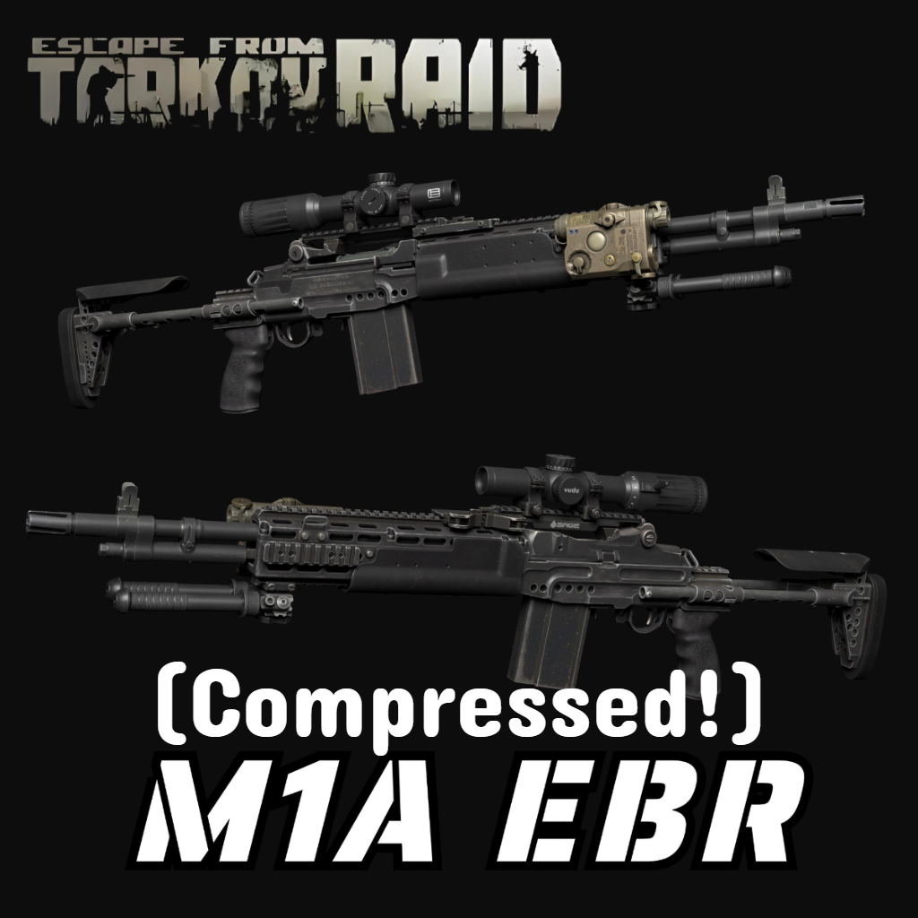 EFT M1A EBR（Military Sniper） (Compressed Edition)
