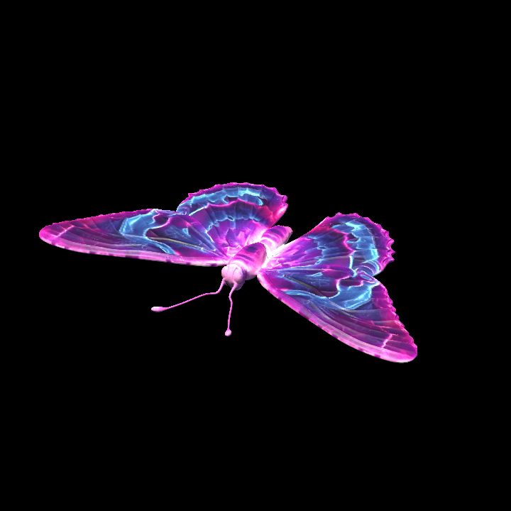 Butterfly 7