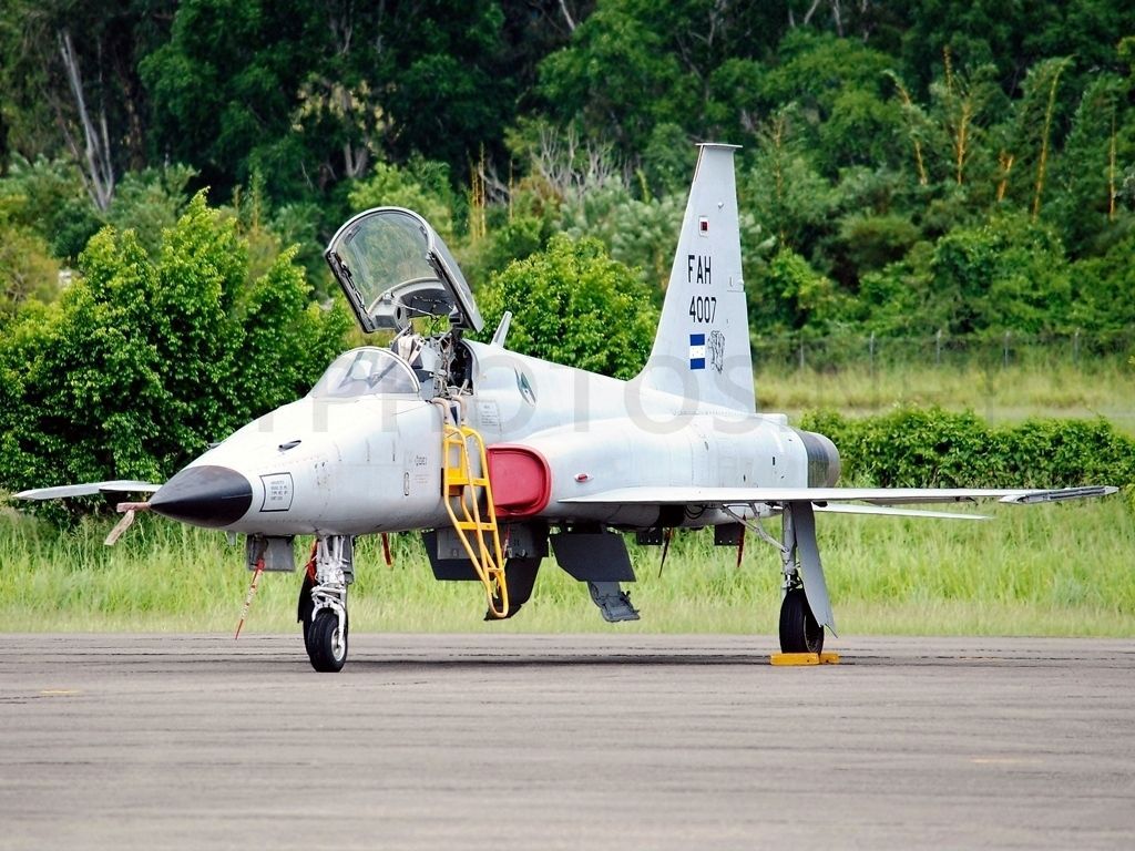 F-5E Honduras Air Force Camo