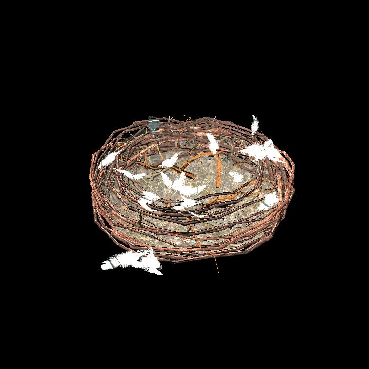 Animal, Nest, Bird 1