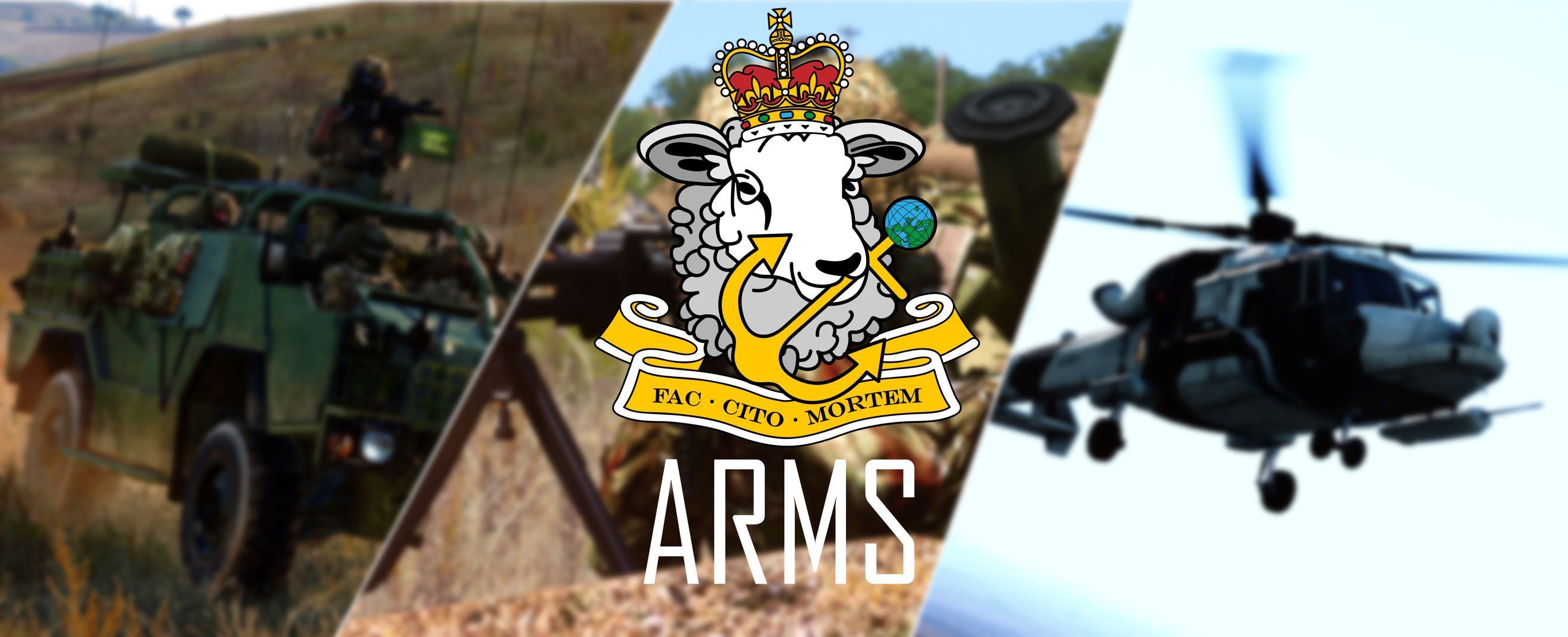 49CDO - Arms