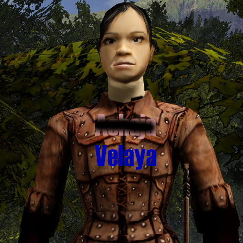 Velaya Alternative Armor