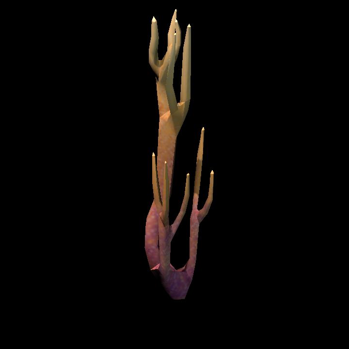 DA_CoralBranch4_3