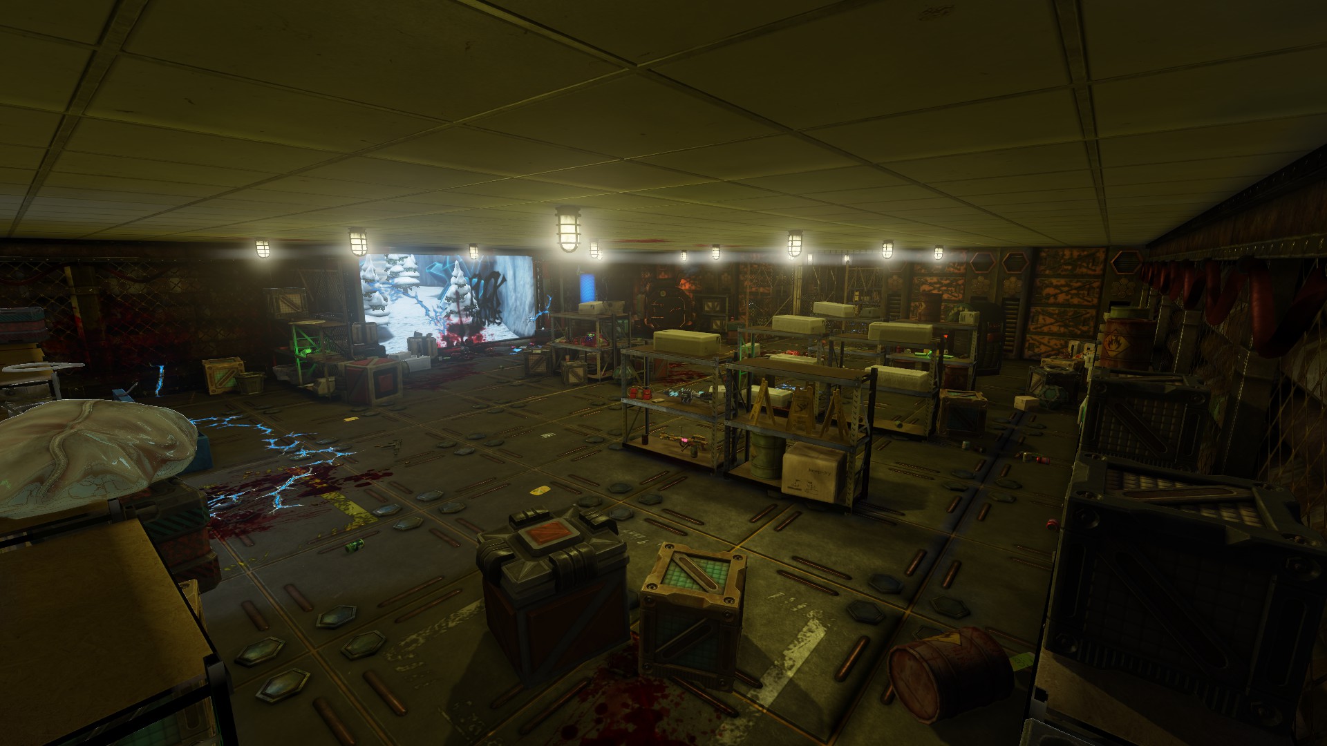 Cargo Storage
