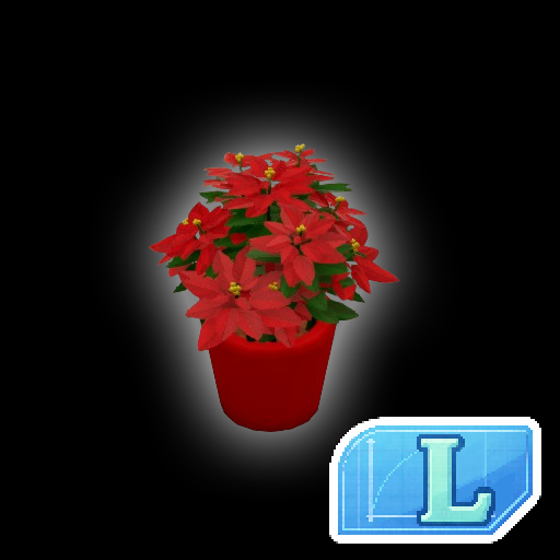 Poinsettia Christmas Plant