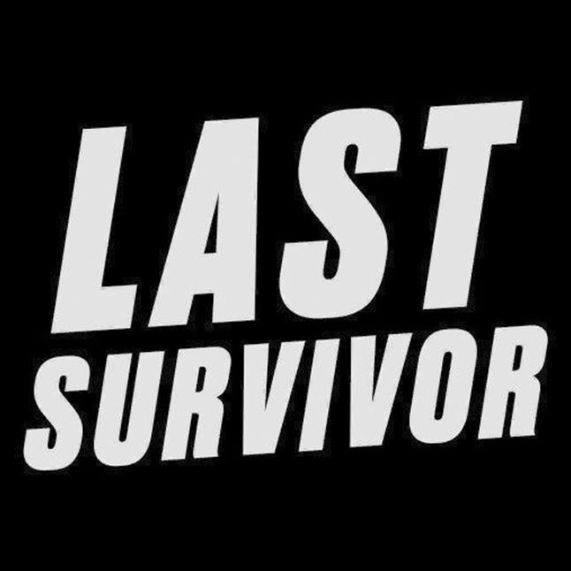 LastSurvivorDayz