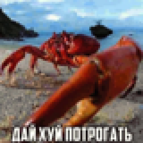 Дай хуй потрогать краб – tModLoader Mod
