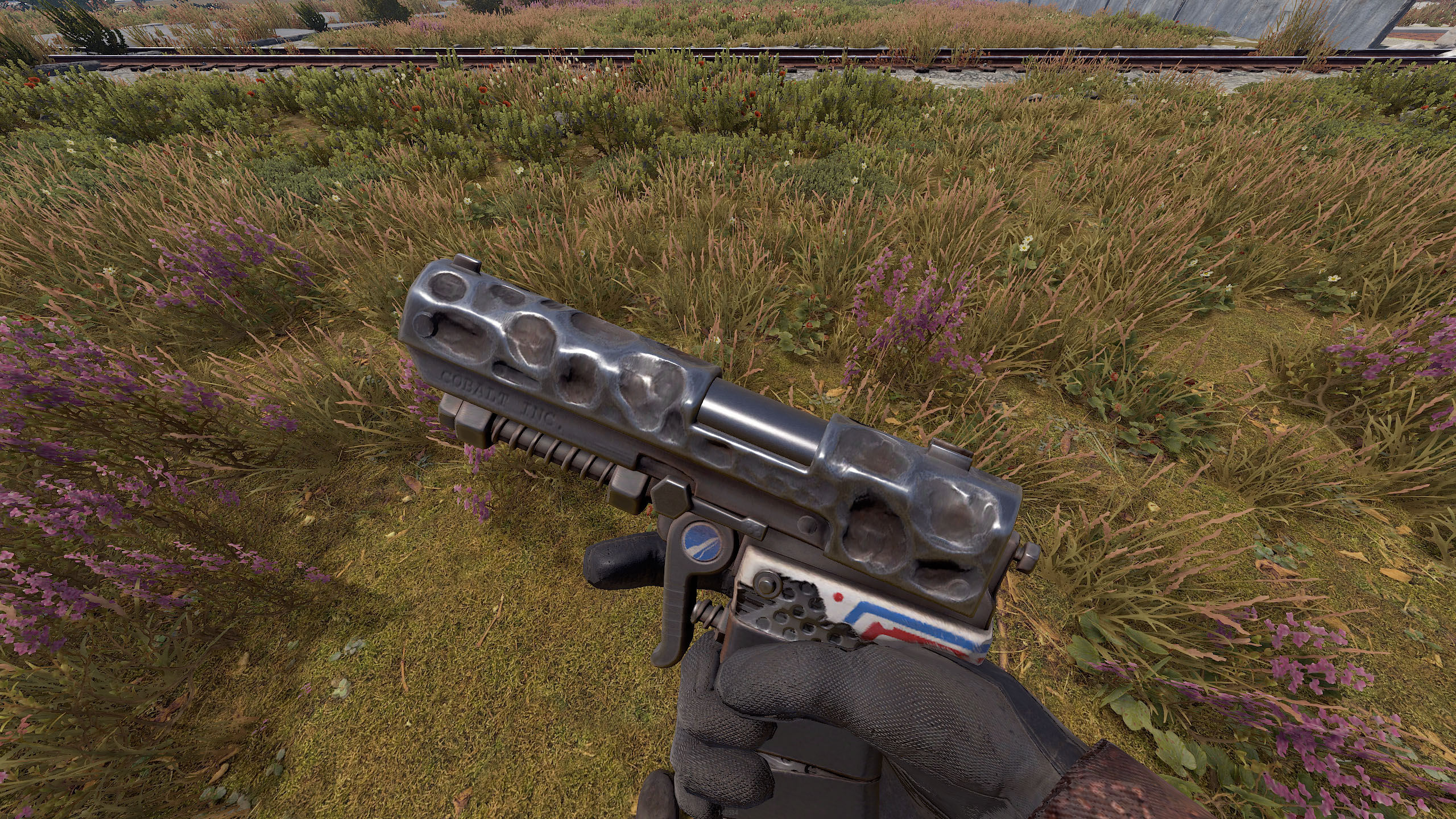 Meteorite SAP