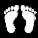 SPE FEET