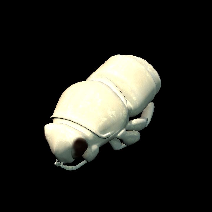 bee_larvae