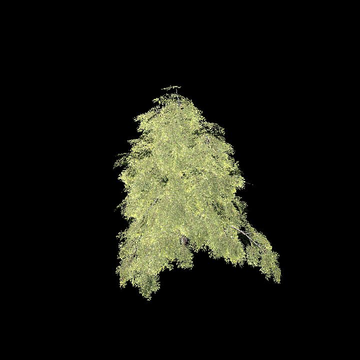 Cornifer tree high poly