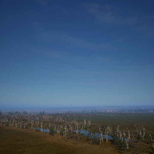 Swamp