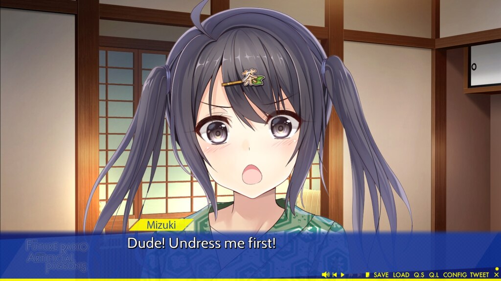 Steam コミュニティ :: 未来ラジオと人工鳩