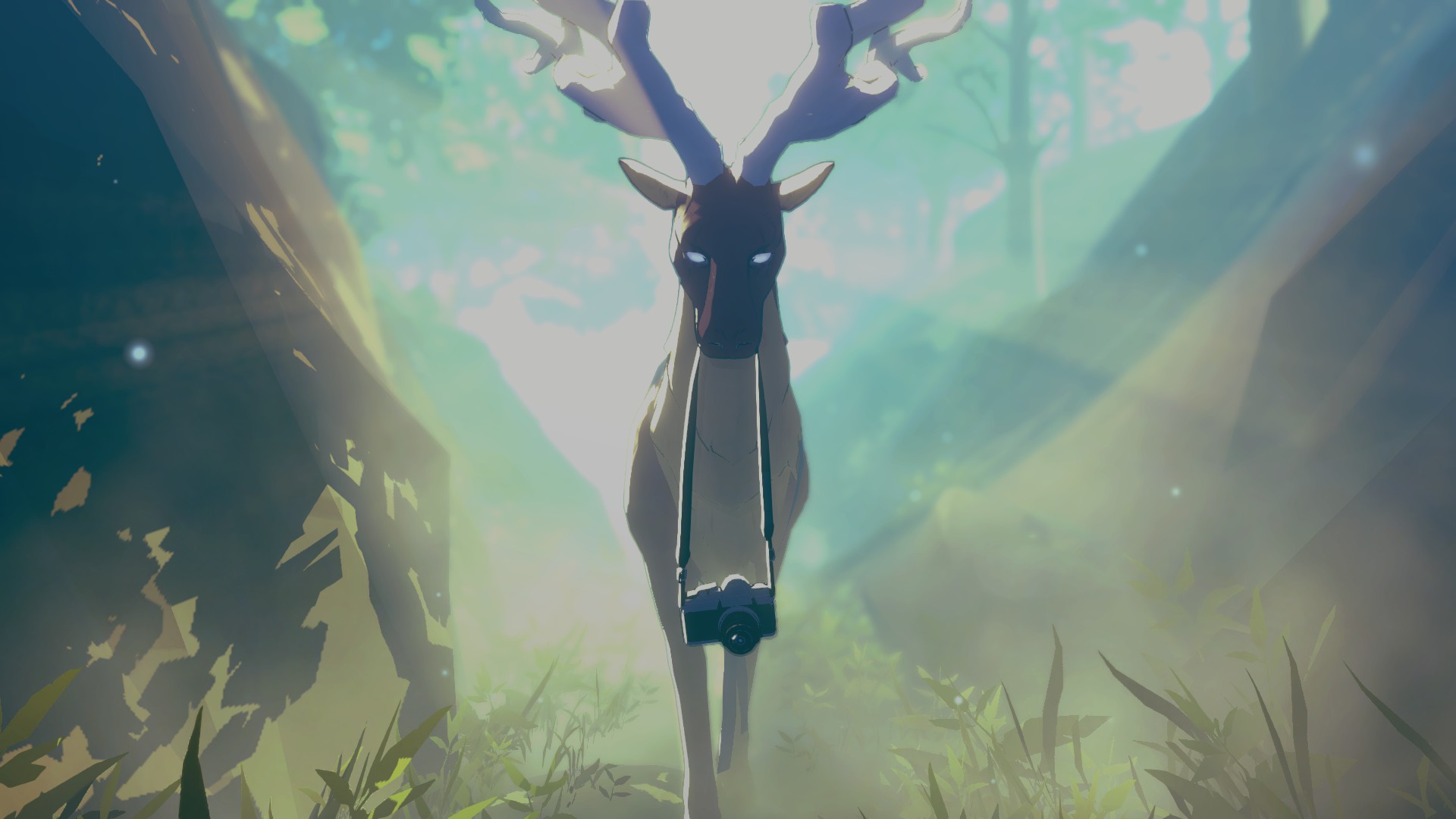 4EDB060DE518212F09D066571350F34B6FA17B5D