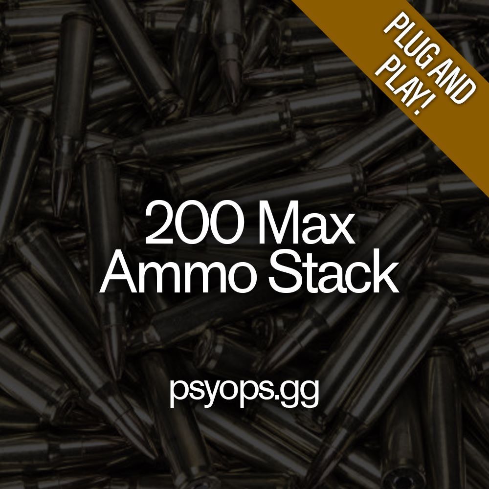 200 Max Ammo Stack