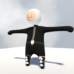 FINN  RP SKIN