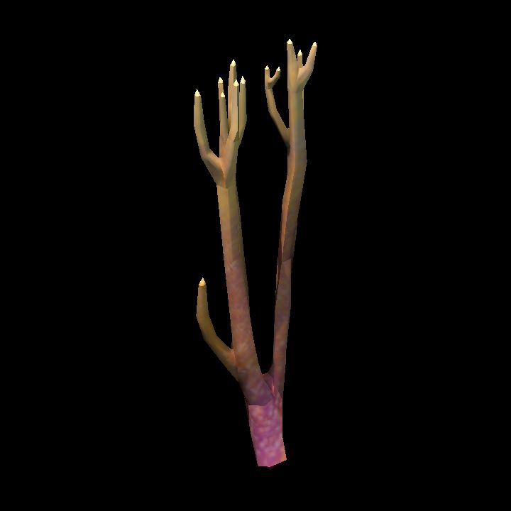 DA_CoralBranch4_2