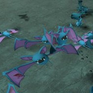 Pokemon Zubat Common Infected (补档) preview