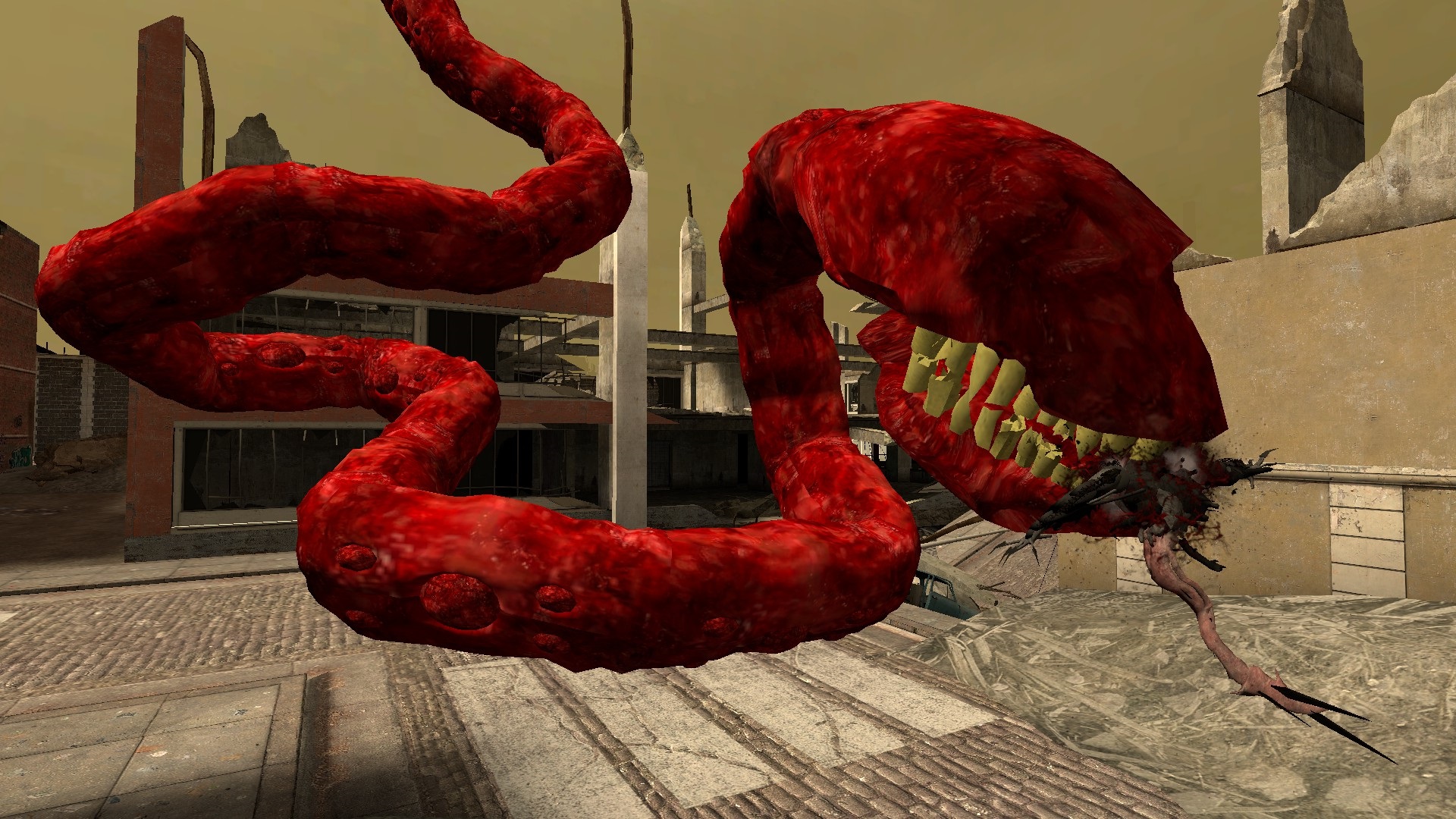 2025 Redux Eel Tongue