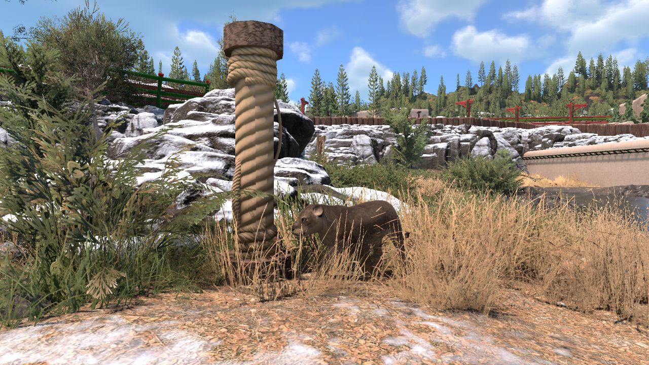 cat scratching post