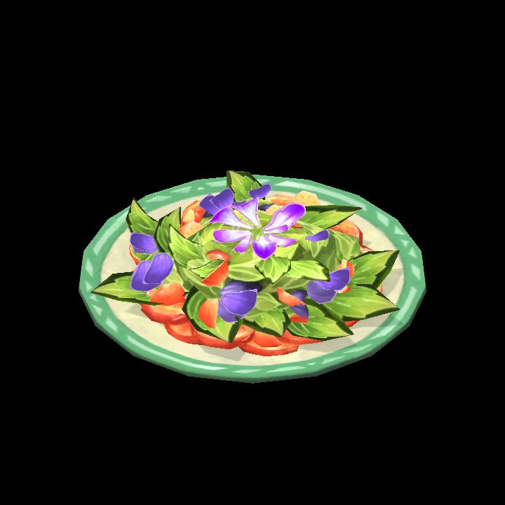 Selva Salad