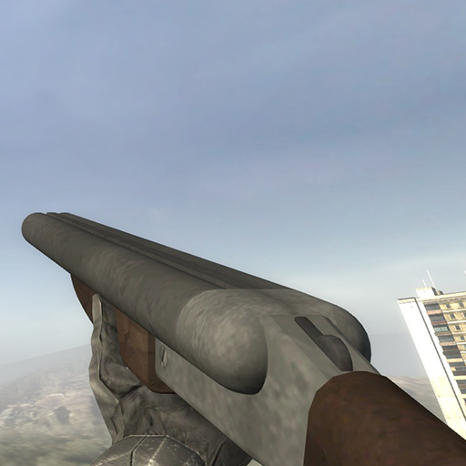 Double Shotgun (Shotgun Replacement)