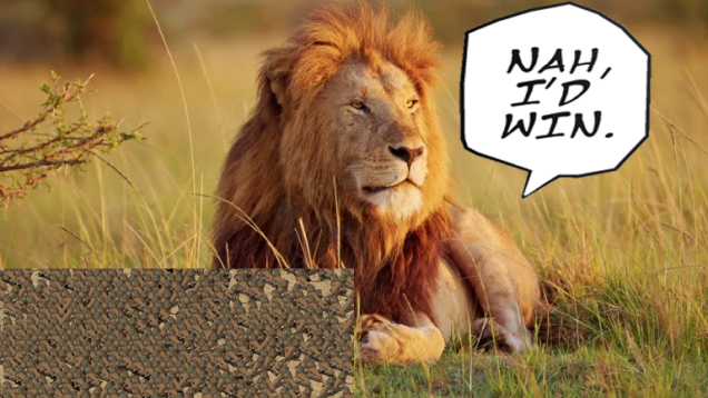 [SE] Lion Crusader Mod preview