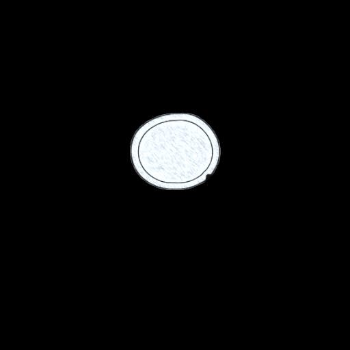 Round carpet 2