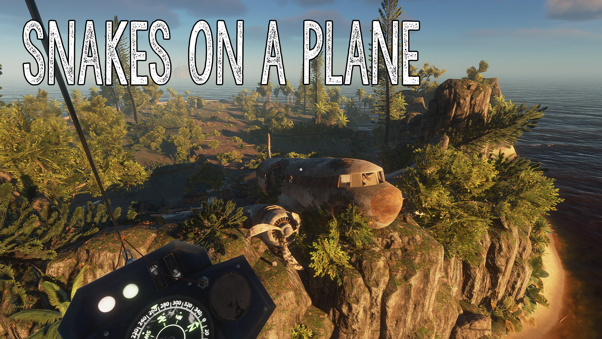 Snakes on a Plane