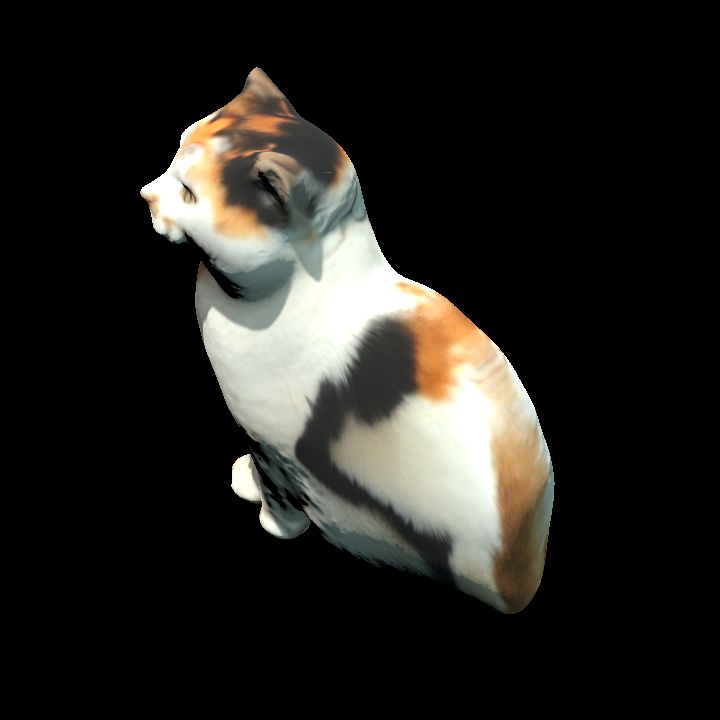 Poppy cat 2