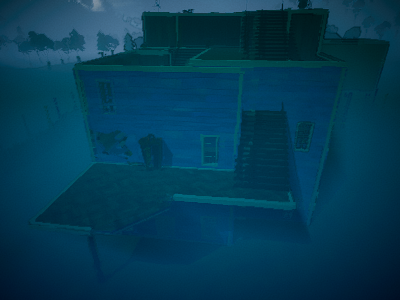 The crazy house